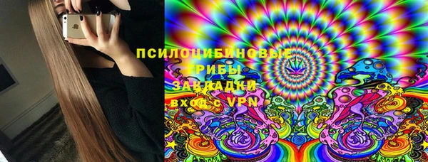 ПСИЛОЦИБИНОВЫЕ ГРИБЫ Богданович