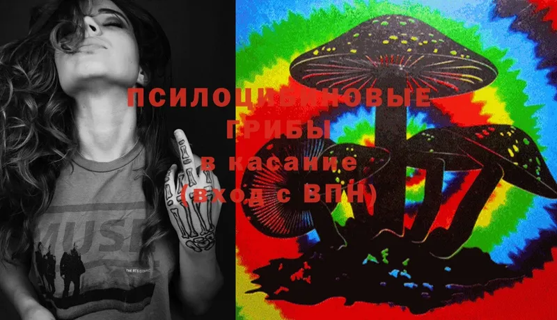 Псилоцибиновые грибы MAGIC MUSHROOMS  Лихославль 