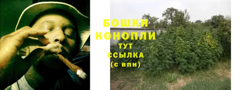 blacksprut вход  Лихославль  Канабис план  наркота 